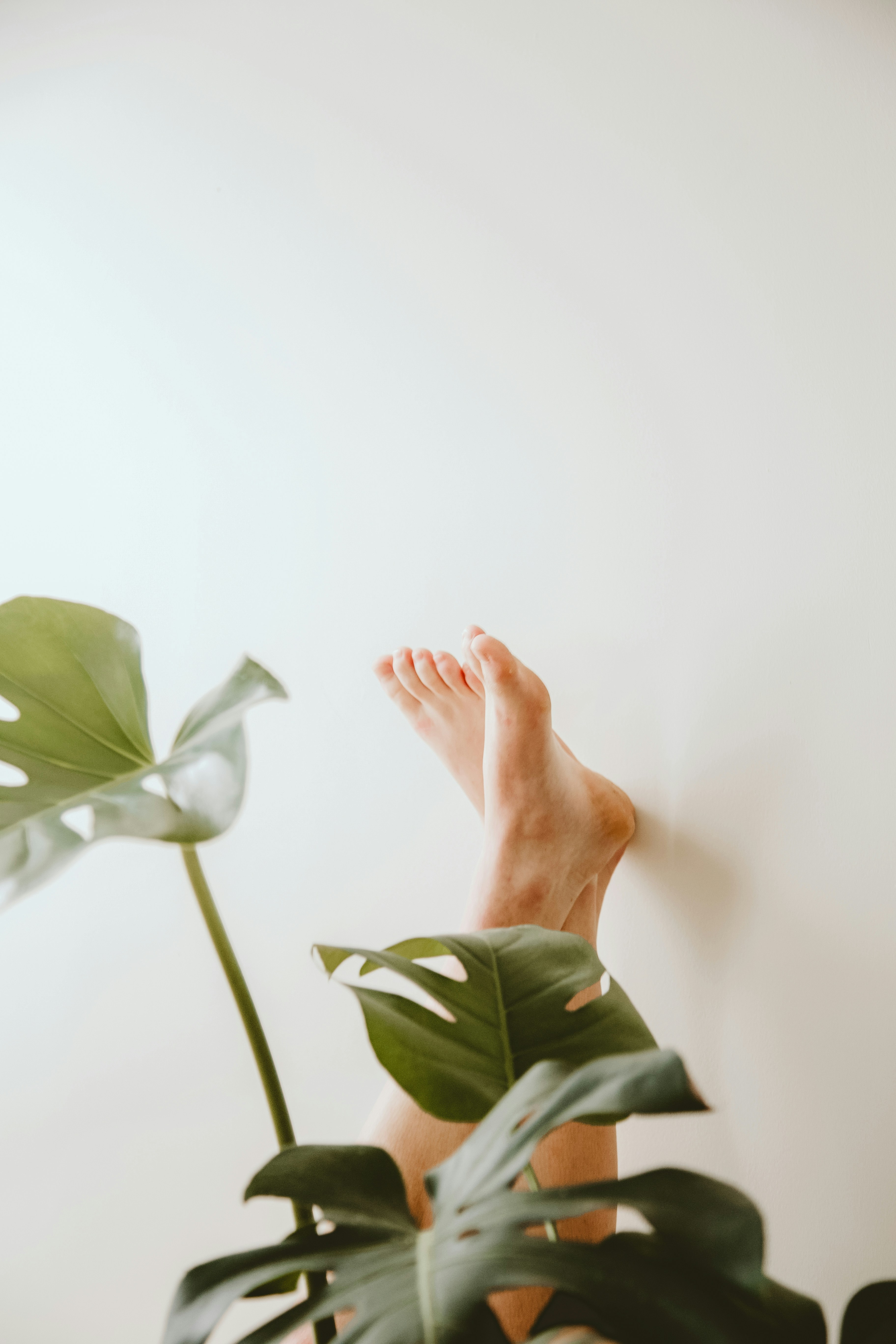Photo of very clean feet against white background with a monsterra plant. Photo taken by Hana Fleur